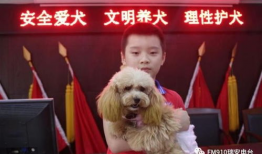 瑞安91电台直播,实时捕捉城市脉搏，畅享精彩瞬间